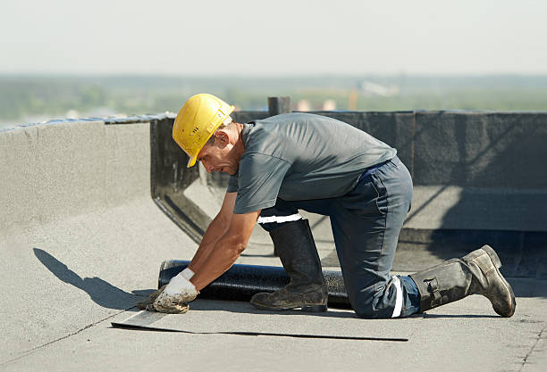 Best Residential Insulation in Petersburg, AK