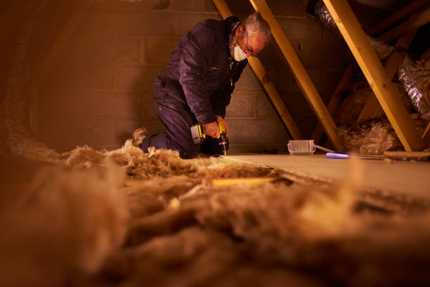 Best Insulation Maintenance and Repair in Petersburg, AK